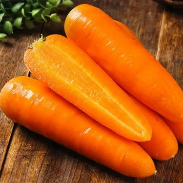 Carrot, Nantes Half Long