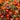 Marigold Seeds – Pygmy Red