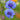 Cornflower Seeds-Amethyst