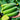 Bio-Gurke Paraiso F1