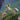 Cymbidium Ensifolium