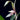 Cymbidium Lancifolium