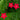 Cypress vine