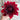 Graines de dahlia - Spartacus