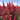 Delphinium- Red Lark
