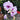 Dendrobium Phalaenopsis Seeds Pink