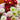 Double Click Mix Cosmos Flower Seeds
