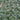 Dwarf Mondo Grass Seeds