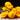 Lucuma