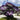 Elephant Ear Taro Seeds-Royal Plum