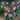 Rare Iris Seeds – Emerald Wave