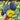 European plums on a tree with one fruit cut open