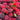 Fresh Dongkui Chinese Bayberry Seeds