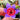 Geissorhiza radians