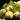Ginsengfrucht
