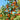 Orange apricots growing across a sunlit leafy tree