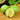 Prune verte croquante