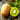 Green Heart Kiwifruit
