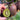 Green Heart Kiwifruit