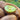Green Heart Kiwifruit