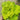 Heuchera, Citronelle