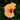 Hibiscus Seeds-Sunset Glow