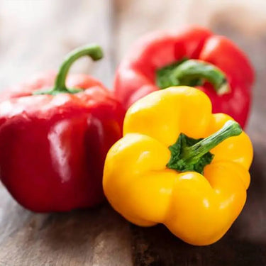 High Yield Sweet Bell Pepper Seeds