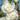 Stockrosensamen – Champagne