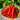 Hot Portugal Hot Pepper Seeds Non-GMO Vegetable Garden - Capsicum annuum