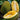 Jackfruit Seeds