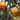 Jelly Orange