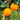 Jelly-Orange