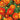 Linnaeus Burning Embers Marigold Seeds