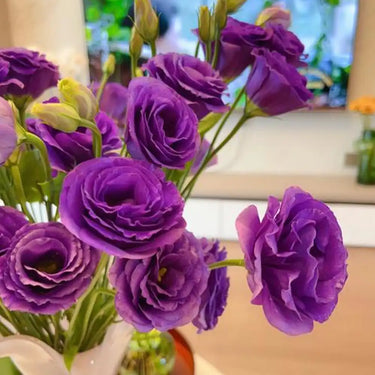 Lisianthus Seeds-Rosita II Blue