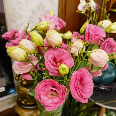 Lisianthus Seeds-Rosita II Pink