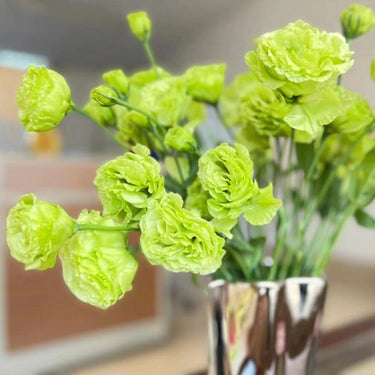 Lisianthus Seeds-Voyage 2 Green