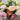 Lisianthus Seeds – Pink Purple Red Romance