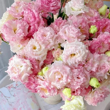 Lisianthus Seeds – Pink White Bouquet