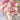 Lisianthus Seeds – Pink White Bouquet
