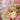 Lisianthus Seeds – Pink White Bouquet