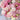 Lisianthus Seeds – Pink White Bouquet