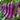 Long Purple Eggplants Aubergine Seeds Chinese Eggplants Vegetable