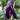 Long Purple Eggplants Aubergine Seeds Chinese Eggplants Vegetable