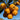 Ripe orange loquats growing in a cluster on a tree