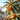 Orange loquats hanging from a branch with green leaves