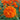 Marigold Seeds-Pumpkin