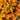 Marigold Seeds – Brocade Mix