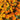 Marigold Seeds – Brocade Mix