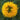 Marigold Seeds – Mary Helen
