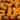 Marigold Seeds – Petite Mix